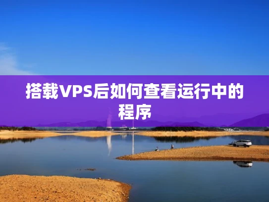 搭载VPS后如何查看运行中的程序