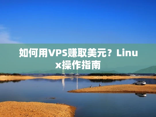 如何用VPS赚取美元？Linux操作指南