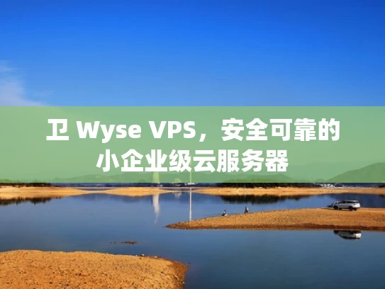卫 Wyse VPS，安全可靠的小企业级云服务器