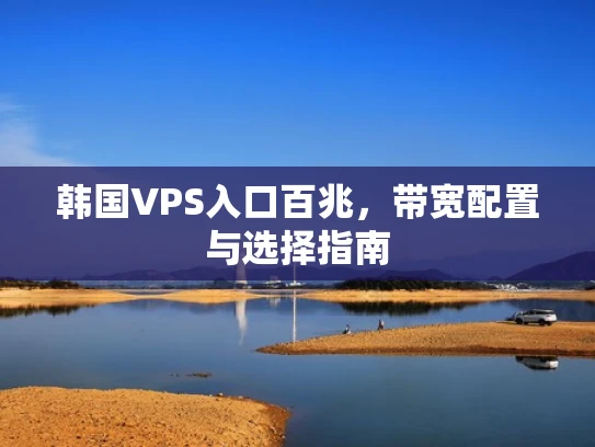 韩国VPS入口百兆，带宽配置与选择指南