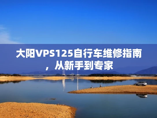 大阳VPS125自行车维修指南，从新手到专家