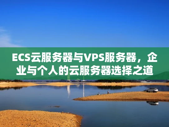 ECS云服务器与VPS服务器，企业与个人的云服务器选择之道