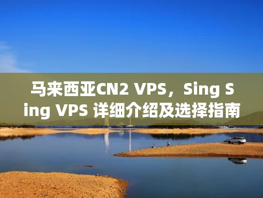 马来西亚CN2 VPS，Sing Sing VPS 详细介绍及选择指南