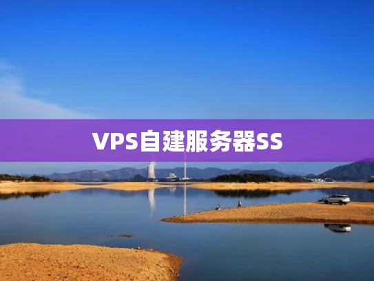 VPS自建服务器SS