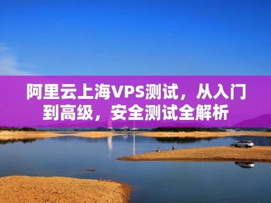 阿里云上海VPS测试，从入门到高级，安全测试全解析