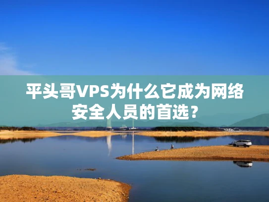 平头哥VPS为什么它成为网络安全人员的首选？