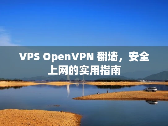 VPS OpenVPN 翻墙，安全上网的实用指南