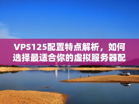 VPS125配置特点解析，如何选择最适合你的虚拟服务器配置