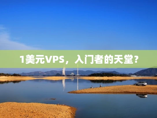 1美元VPS，入门者的天堂？