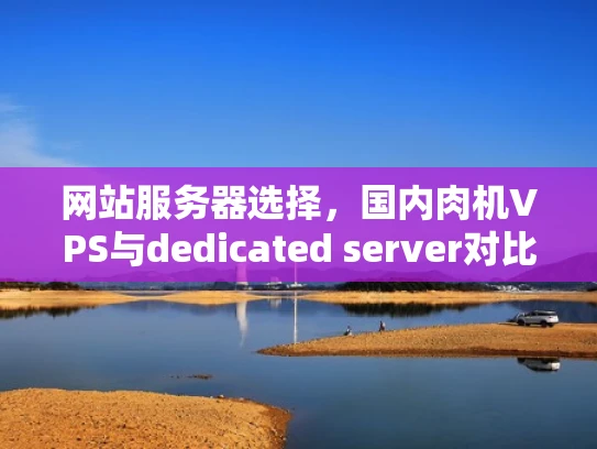 网站服务器选择，国内肉机VPS与dedicated server对比全解析