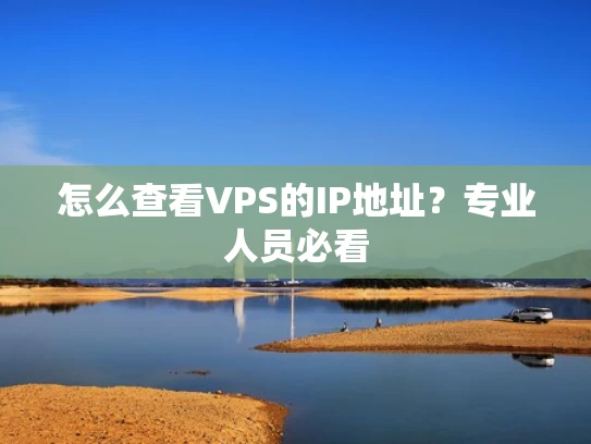 怎么查看VPS的IP地址？专业人员必看