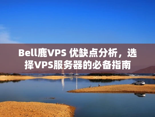 Bell鹿VPS 优缺点分析，选择VPS服务器的必备指南