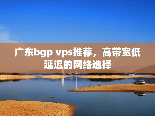 广东bgp vps推荐，高带宽低延迟的网络选择