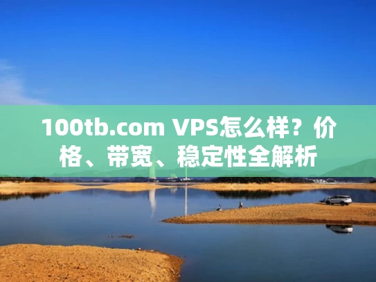 100tb.com VPS怎么样？价格、带宽、稳定性全解析