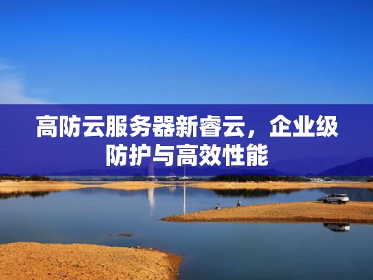 高防云服务器新睿云，企业级防护与高效性能