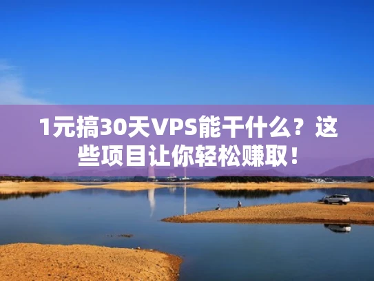 1元搞30天VPS能干什么？这些项目让你轻松赚取！