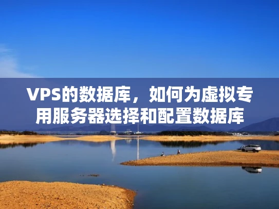VPS的数据库，如何为虚拟专用服务器选择和配置数据库