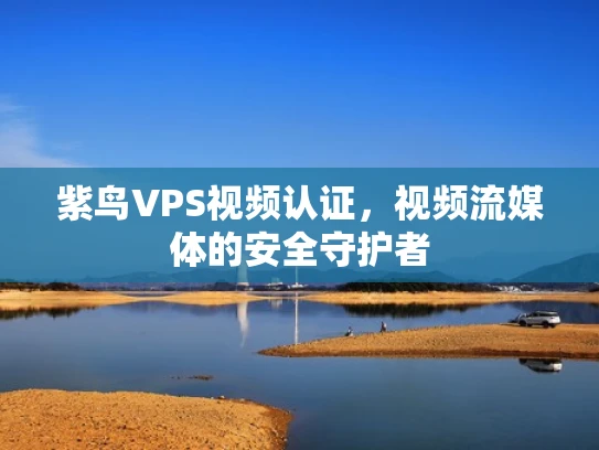 紫鸟VPS视频认证，视频流媒体的安全守护者