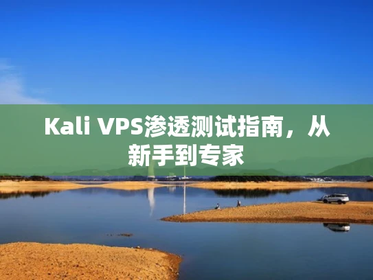 Kali VPS渗透测试指南，从新手到专家