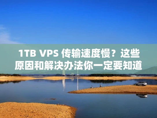 1TB VPS 传输速度慢？这些原因和解决办法你一定要知道！