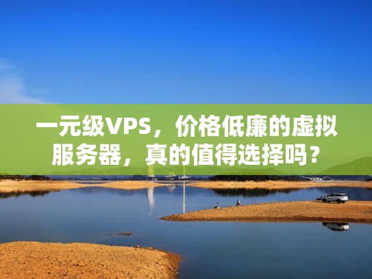 一元级VPS，价格低廉的虚拟服务器，真的值得选择吗？