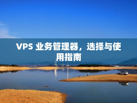 VPS 业务管理器，选择与使用指南