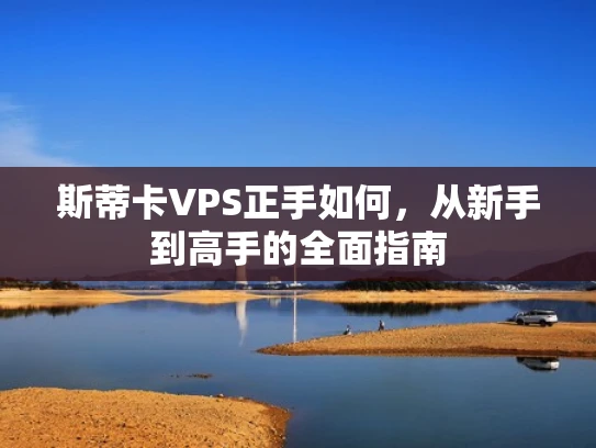 斯蒂卡VPS正手如何，从新手到高手的全面指南