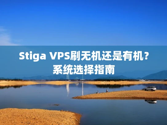 Stiga VPS刷无机还是有机？系统选择指南