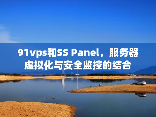 91vps和SS Panel，服务器虚拟化与安全监控的结合