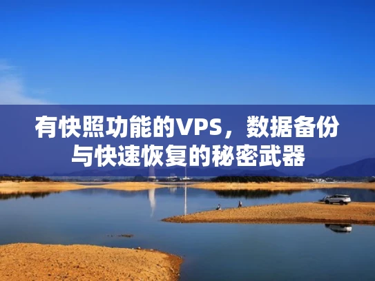有快照功能的VPS，数据备份与快速恢复的秘密武器
