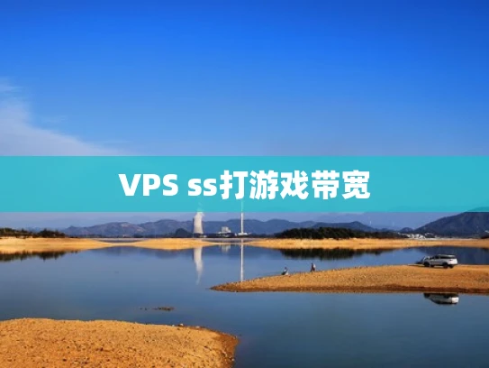 VPS ss打游戏带宽