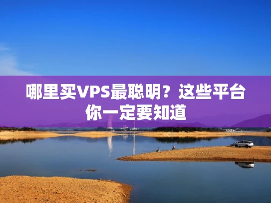 哪里买VPS最聪明？这些平台你一定要知道