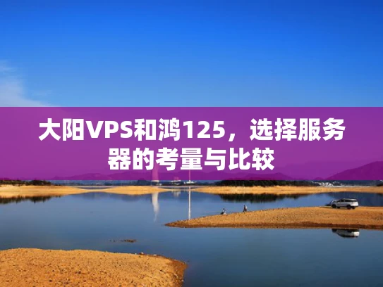 大阳VPS和鸿125，选择服务器的考量与比较