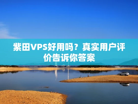 紫田VPS好用吗？真实用户评价告诉你答案