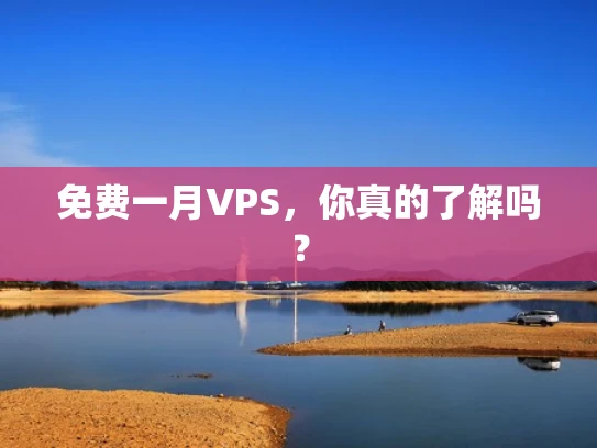 免费一月VPS，你真的了解吗？