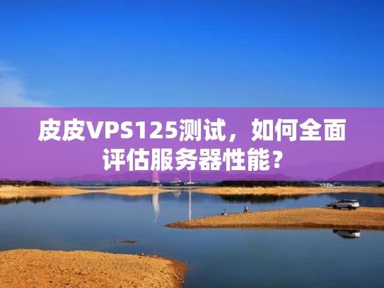 皮皮VPS125测试，如何全面评估服务器性能？