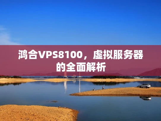 鸿合VPS8100，虚拟服务器的全面解析