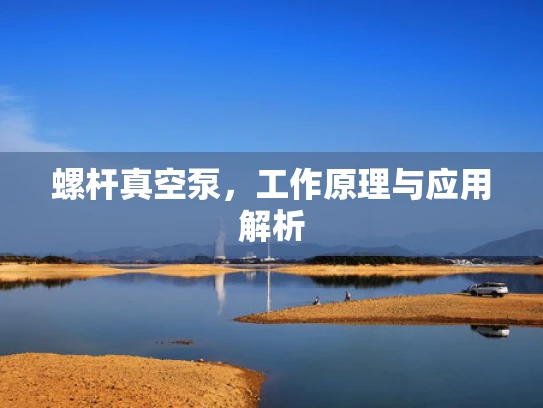 螺杆真空泵，工作原理与应用解析