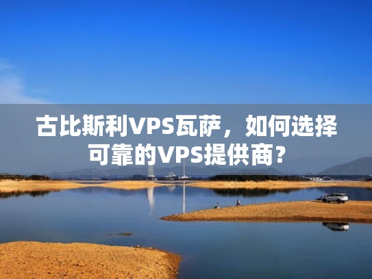 古比斯利VPS瓦萨，如何选择可靠的VPS提供商？