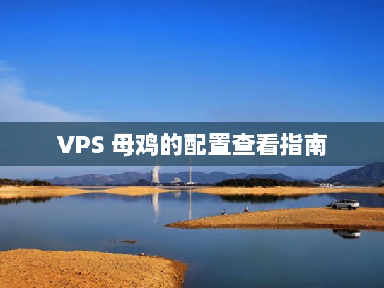 VPS 母鸡的配置查看指南