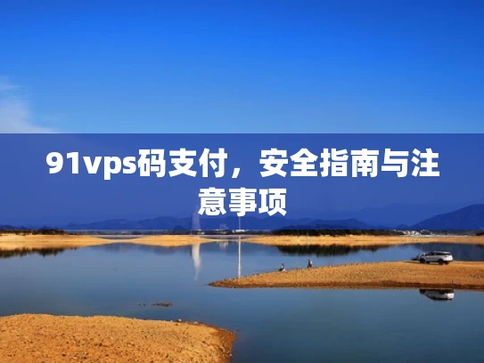 91vps码支付，安全指南与注意事项