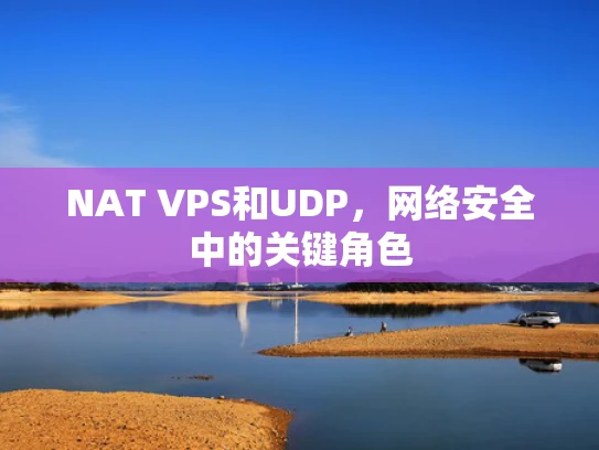 NAT VPS和UDP，网络安全中的关键角色