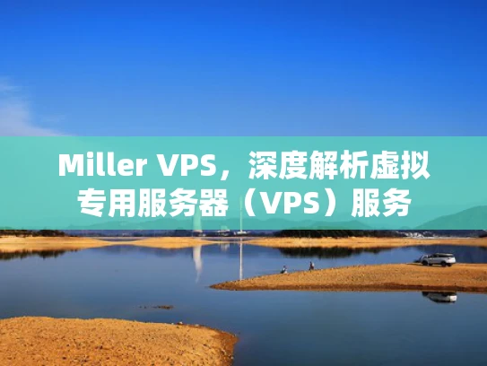 Miller VPS，深度解析虚拟专用服务器（VPS）服务