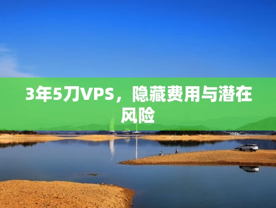 3年5刀VPS，隐藏费用与潜在风险