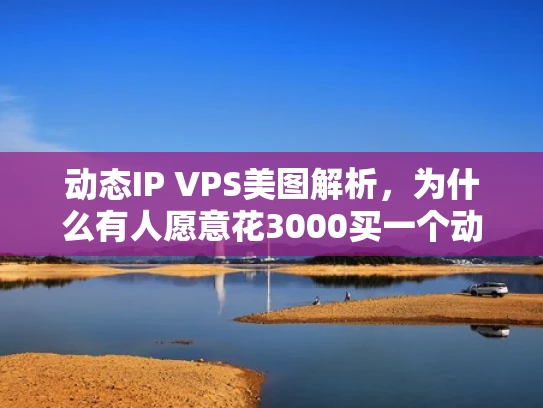 动态IP VPS美图解析，为什么有人愿意花3000买一个动态IP的VPS？