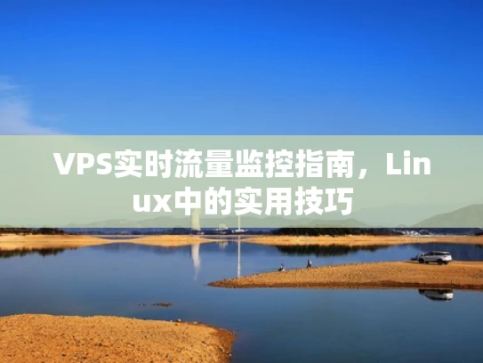 VPS实时流量监控指南，Linux中的实用技巧