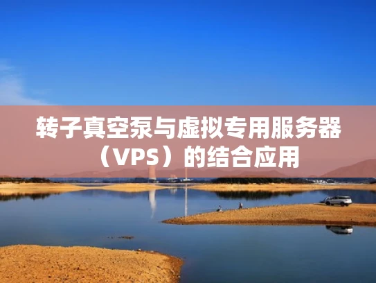 转子真空泵与虚拟专用服务器（VPS）的结合应用
