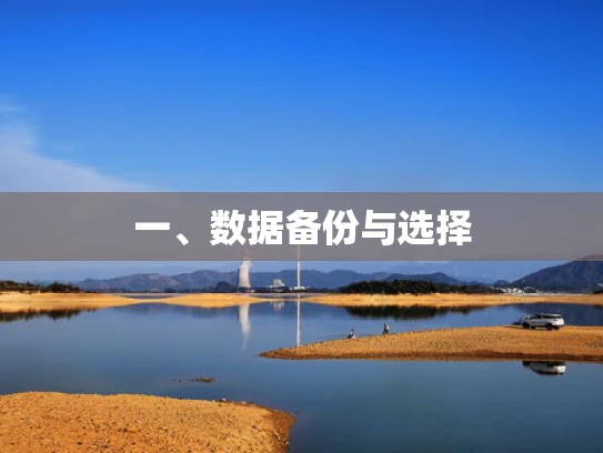 一、数据备份与选择