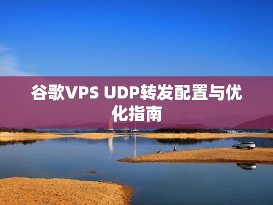 谷歌VPS UDP转发配置与优化指南