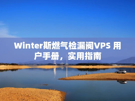 Winter斯燃气检漏阀VPS 用户手册，实用指南